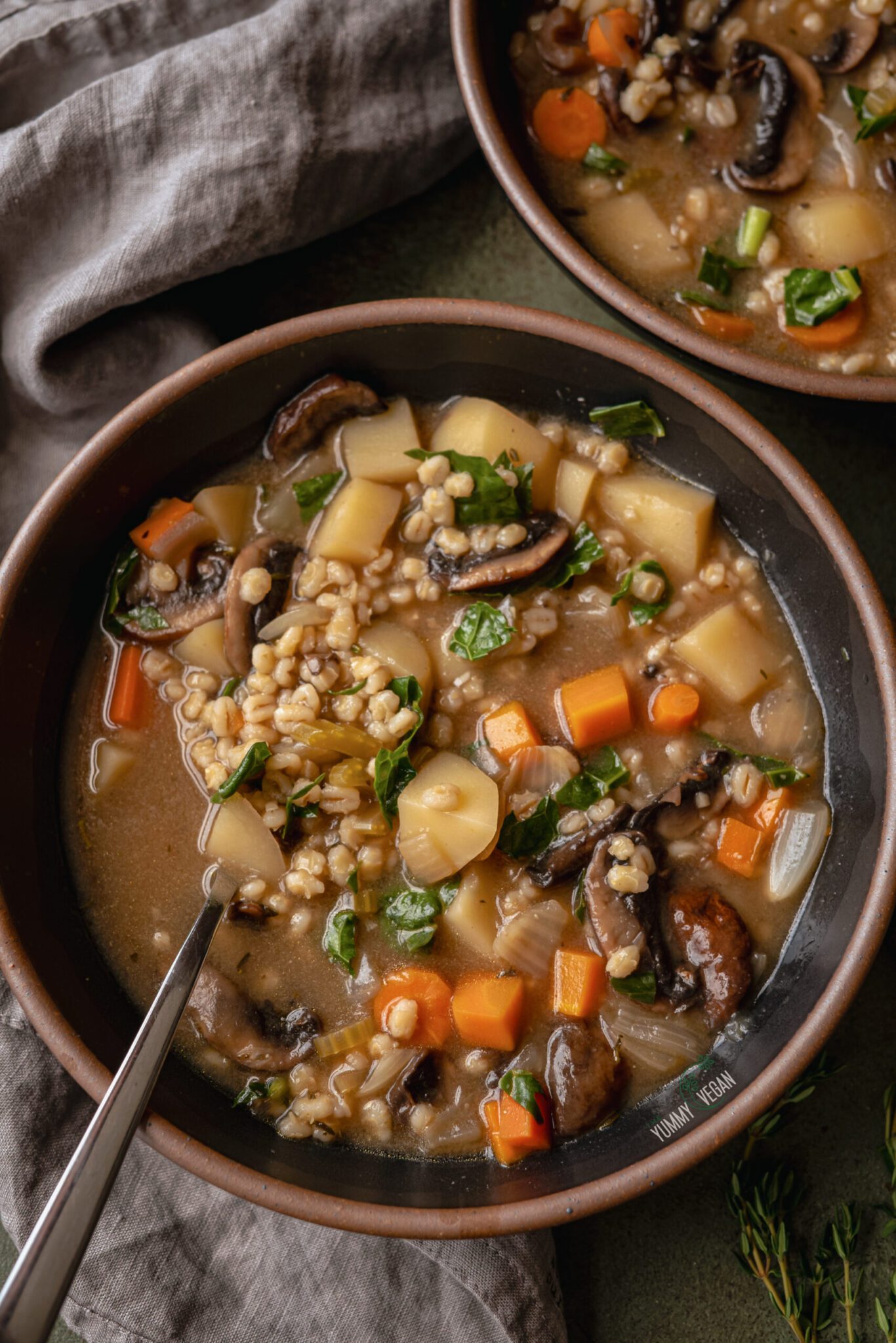 Mushroom Barley Soup